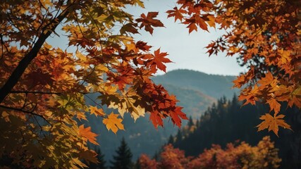 Vivid autumn scenery with colorful maple leaves