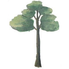 Green tree with watercolor illustration style