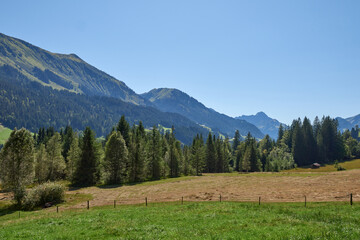 Majestic Summer Mountain Landscape with Lush Green Alpine Meadows under Clear Blue Sky. Scenic Natural Environment with Rolling Hills and Pristine Grasslands in Peak Season.