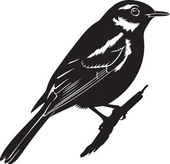 Nightingale bird silhouette vector