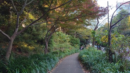 秋の紅葉に染まる遊歩道