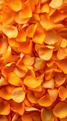 A close-up of vibrant orange flower petals arranged beautifully.