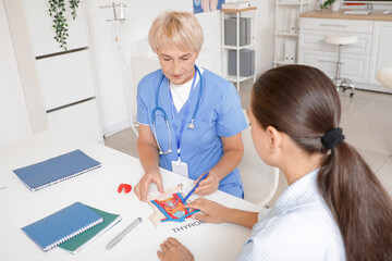 Female endocrinologist showing structure of thyroid gland to patient at table in clinic