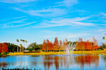 Wesley Chaple, Florida, USA, 12 10 2024: The winter foliage landscape of a beautiful community at Wesley Chapel, north of Tampa in Florida	
