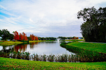 Wesley Chaple, Florida, USA, 12 10 2024: The winter foliage landscape of a beautiful community at Wesley Chapel, north of Tampa in Florida	
