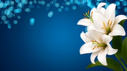 White Lilies on Blue Background with Bokeh Lights