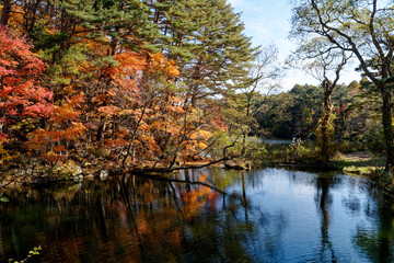 裏磐梯の秋の五色沼の紅葉