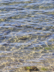 Agua clara en el mar