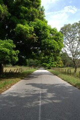 Encontramos muchas vias de comunicacion en Barinas desde caminos de tierra hasta modernas autopistas,que son utilizadas para el comercio y el turismo.