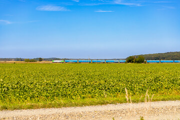 Panorama of a long train with blue wagons