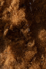 Hairy texture