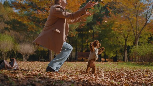 Blond Girl Playing with Dog in Autumn Park. Young Woman Thowing Dry Leaves in The Air Over Brown Toy Poodle Pet Standing ob Hind Legs Trying to Catch Falling Foliage - slow motion, profile low angle