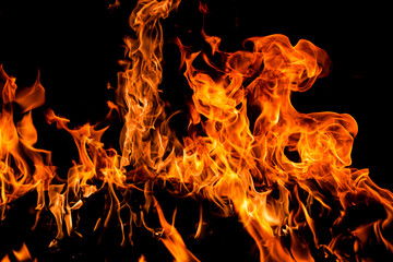 Fire and flames for background. Bright flames background. Texture of fire on a black background....