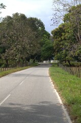 Obraz premium Encontramos muchas vias de comunicacion en Barinas desde caminos de tierra hasta modernas autopistas,que son utilizadas para el comercio y el turismo.