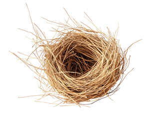 Natural Bird Nest Made of Dry Twigs and Grass
