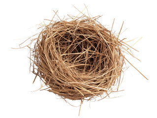 Obraz premium Empty Bird Nest Made of Twigs and Grass