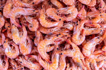Shrimps in the market. Fresh seafood. Animal protein.