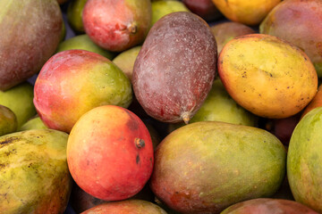 Delicious tropical fruit called mango. Orange-colored fruit