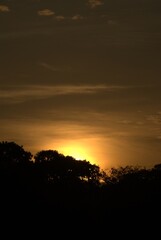 En un estado llanero como Barinas podemos disfrutar de atardeceres espectaculares,con variados tonos de colores.