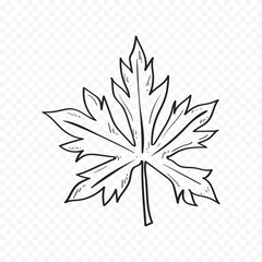 Hand drawn spring flowers illustration. floral illustration