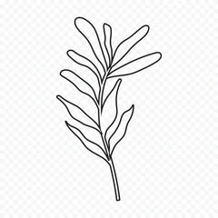 Hand drawn spring flowers illustration. floral illustration