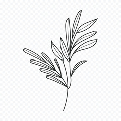 Hand drawn spring flowers illustration. floral illustration