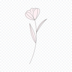 Hand drawn spring flowers illustration. floral illustration