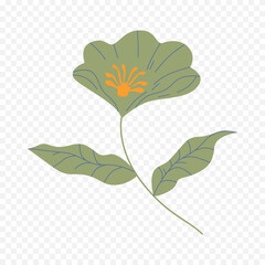 Hand drawn spring flowers illustration. floral illustration