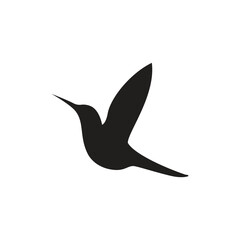 Colibri bird silhouette isolated on white background.