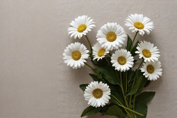 Obraz premium Elegant White Daisies on Neutral Background for Serene Home Decor