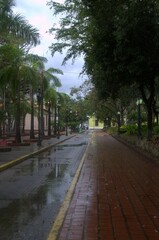 Encontramos muchas vias de comunicacion en Barinas desde caminos de tierra hasta modernas autopistas,que son utilizadas para el comercio y el turismo.