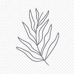 Hand drawn spring flowers illustration. floral illustration	