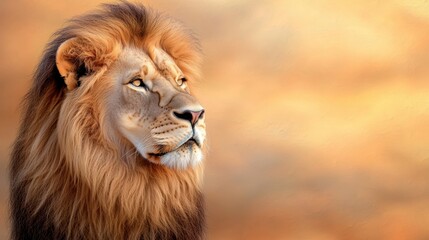 A stunning abstract wallpaper featuring a lion in soft pastel hues, capturing the majestic beauty and power of the king of the jungle with a modern and artistic twist.