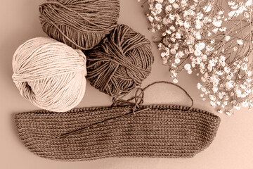 A yarn and a knitting hook in trending color of year 2025.