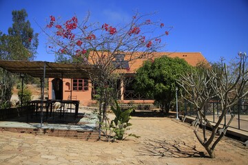House with Patio and Flowering Tree in Madagascar