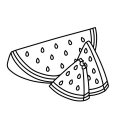 Red and fresh watermelon slices. Thin line illustration