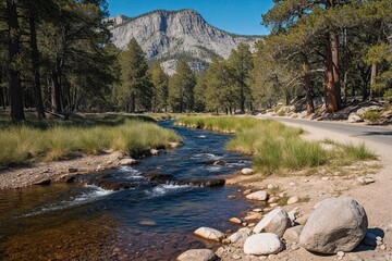 World Water Day Celebrating Nature and Sustainability with National Park Stream Flow