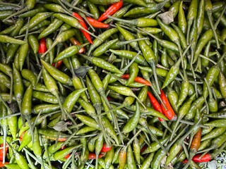 Fresh green cayenne pepper with some ripe ones being red, has a very spicy taste