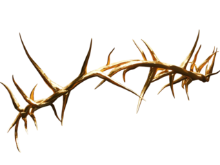 A 3d rendered golden vine with thorns isolated on a transparent background
