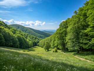 Obraz premium landscape with grass and blue sky. landscape, mountain, nature, sky, mountains, forest, summer, green, tree, alps, grass, clouds, meadow, valley, travel, hill, field, outdoors, view, cloud, rural, tre
