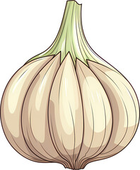 garlic