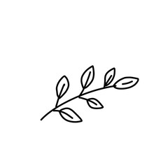 Fruit icon Vector illustration