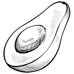 avocado handdrawn illustration