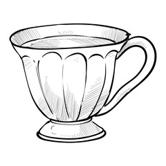 tea cup handdrawn illustration