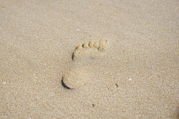 footprints on the sandy beach