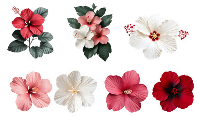 Fototapeta premium Vibrant hibiscus flowers arrangement tropical garden digital artwork colorful nature floral beauty