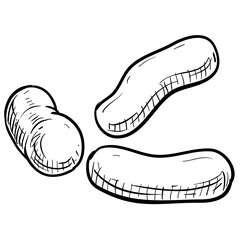 Bacteria Handdrawn Illustration