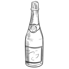Beer Bottle Handdrawn Illustration