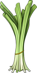 leek