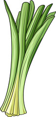 leek